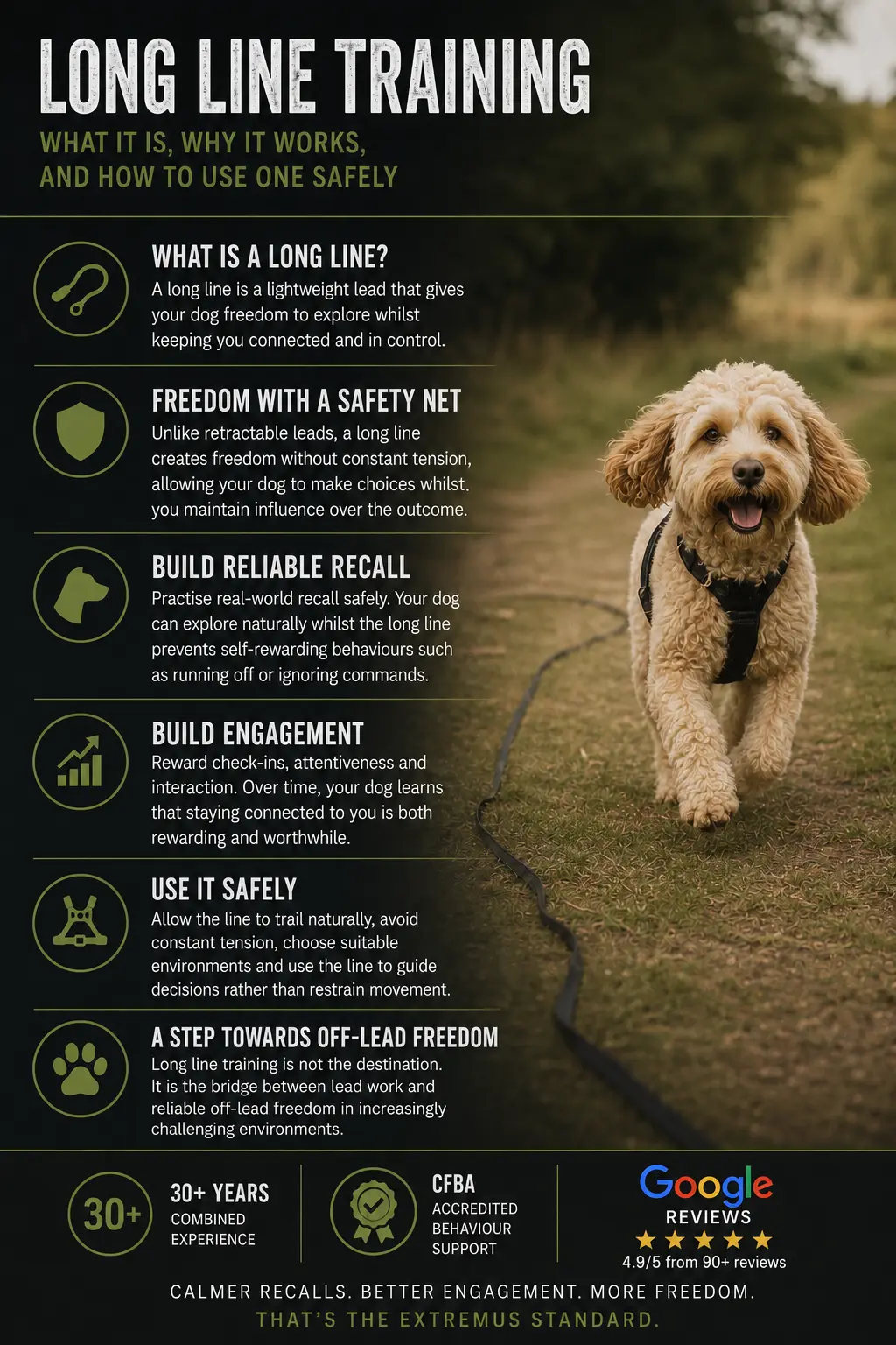 Extremus Dog Training - Long Line Training 